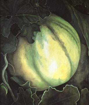 Casaba - Oil on Canvas - Vicki Dodge